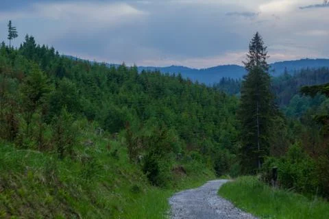 Road in the mountains Stock Photos