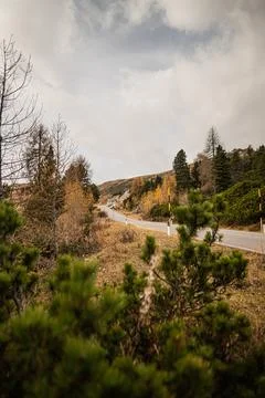 Road in the mountains Stock Photos