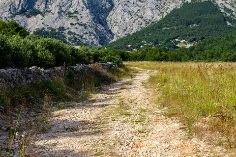 Road in mountains Stock Photos