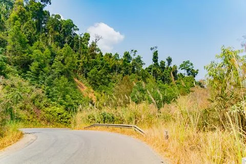 A road in the mountains. Stock Photos