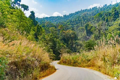 A road in the mountains. Stockfoto's