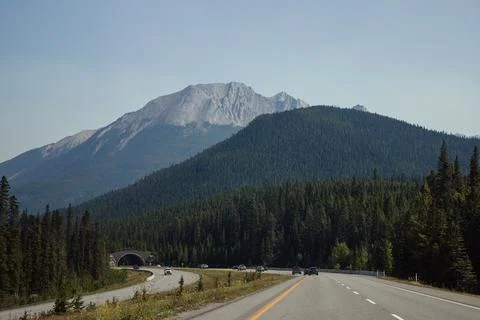 Road in the mountains. Stock Photos