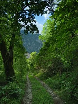 Road in the mountains Foto stock