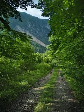 Road in the mountains Stock Photos