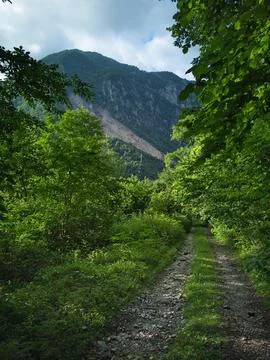 Road in the mountains Stock Photos