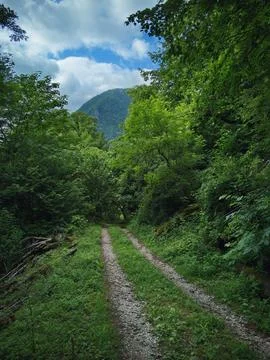 Road in the mountains 스톡 사진