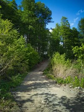 Road in the mountains Stock Photos