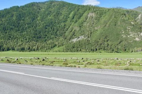 Road in the mountains, side view, Mountain Altai. Stock Photos
