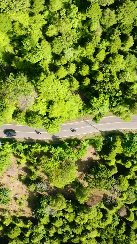 Road in the mountains of Sumatra, Indonesia. Stock Footage 252406085