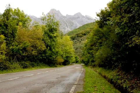 Road to the mountains surrounded by forest Stock Photos