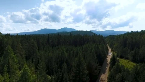 Road to the mountains through dense green forest in sunny day. Stock Footage 103586836