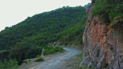 Road in the mountains with trees Stock Footage 137381547