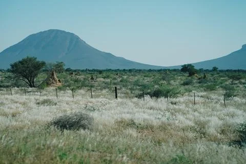 Road in Namibia, lots of termite mounds along the sides of the road and mou.. Stock Photos