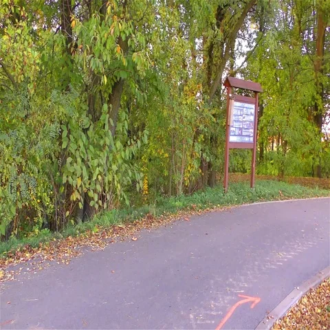 Road in nature Stock Footage 69285142