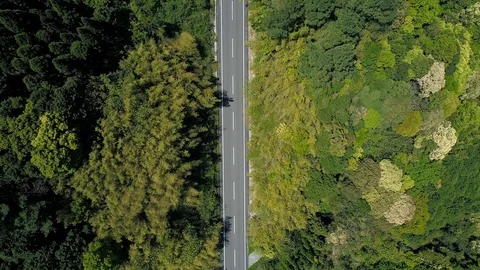 The road in the nature Video stock 90652641