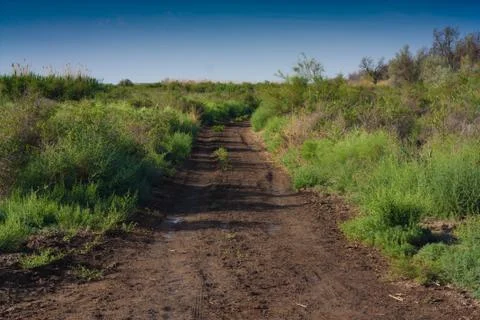 Road to the nature Stock Photos