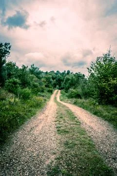 Road in nature Stock Photos