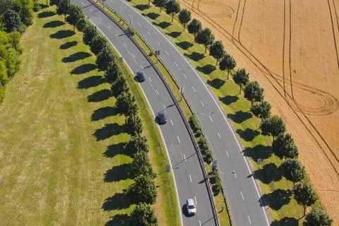 Road in nature Foto stock