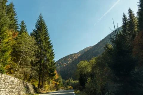 On the road to nature Stock Photos