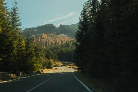 The road to nature Stock Photos