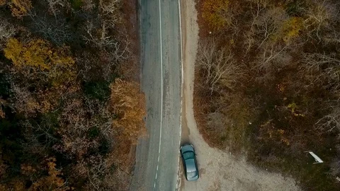 Road near the forest 스톡 동영상 99206042