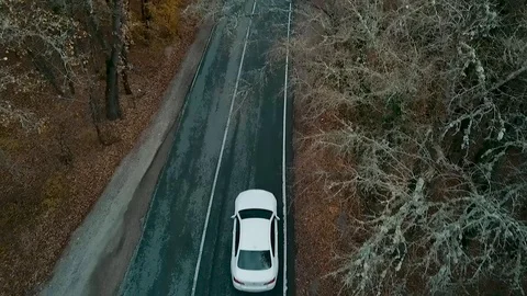 Road near the forest 스톡 동영상 99206128
