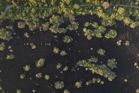 Road next to black lava ground Stock Photos