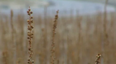 Road to Nowhere Stock Footage 624897