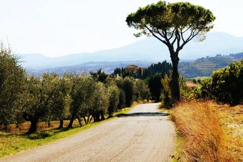 Road to Nowhere Foto stock