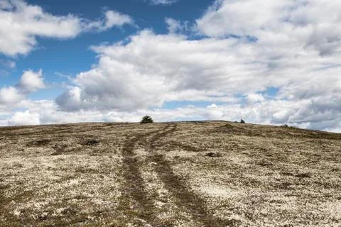 Road to nowhere Stock Photos