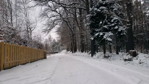 Road or path covered in snow next to the forest Stock Footage 195961933