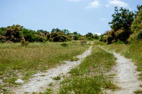 The road or path is in a rural location green landscape Stock Photos
