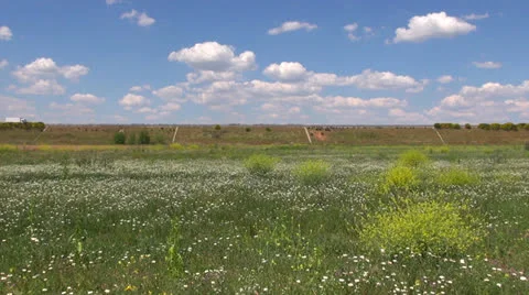 Road over flowered field Stock Footage 25769895