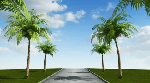 Road with palm trees, loop Stock Footage 5090674