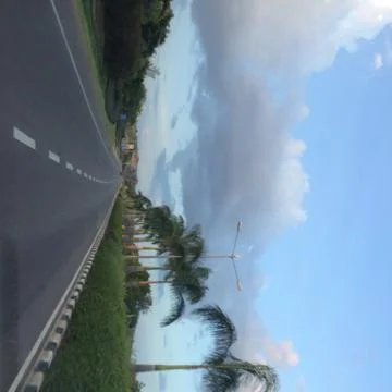Road with palm trees Foto stock