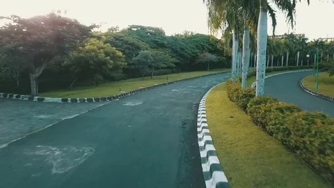 Road with palms Video stock 83635795