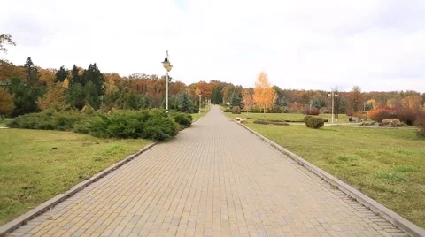 The road in the park Stock Footage 56568398