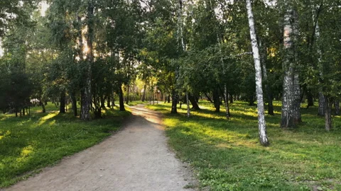 A road in a park Stock Footage 93358258