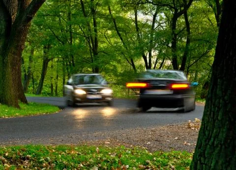 Road in park at night 스톡 사진