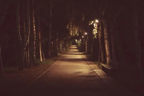 Road in the Park at night Stock Photos