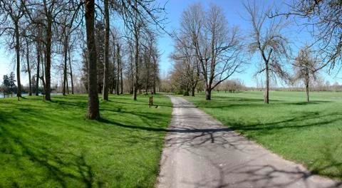 A road in a park. Foto stock