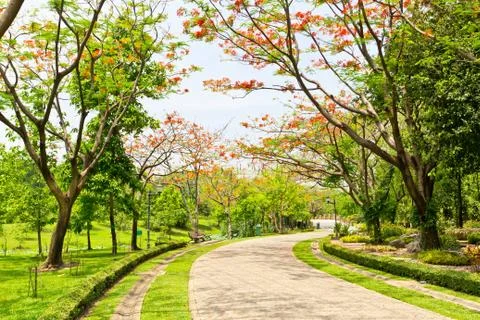 Road in the park Stock Photos
