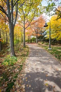 Road in a park Stock Photos