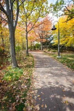 Road in a park Stock Photos