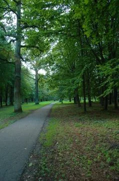 Road in the park Stock Photos
