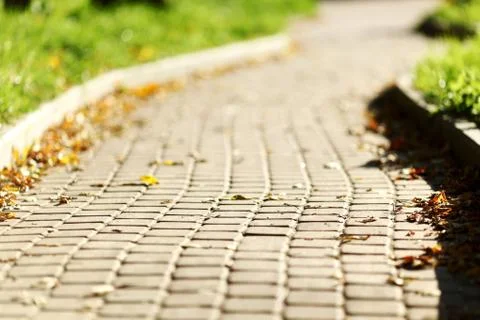 Road in park Stock Photos