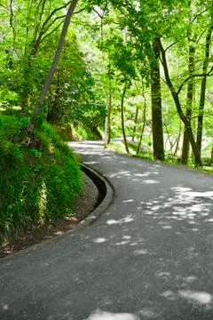 Road in the park Stock Photos