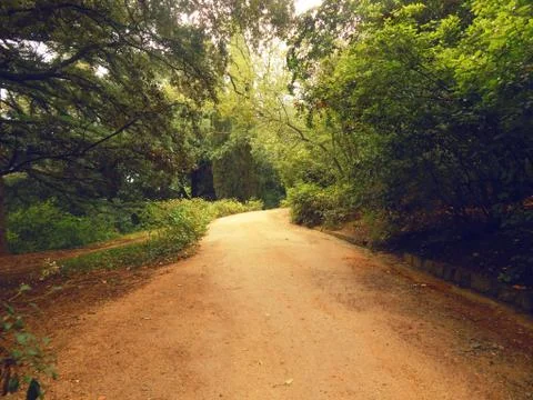 Road in the park Stock Photos