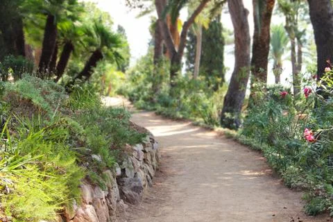 Road in park Stock-Fotos