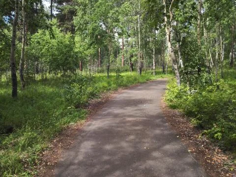 The road to the park 스톡 사진